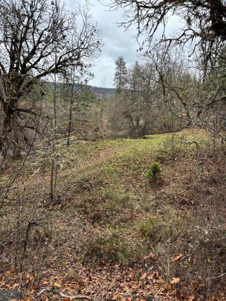 0 Crowfoot, Trail, 97541