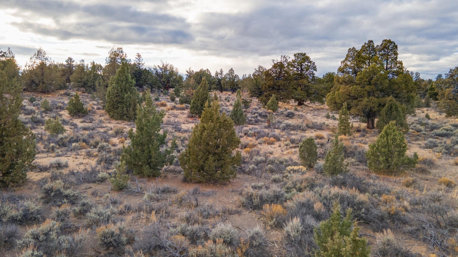 Photo of 23737 Highway 20 3 of 16