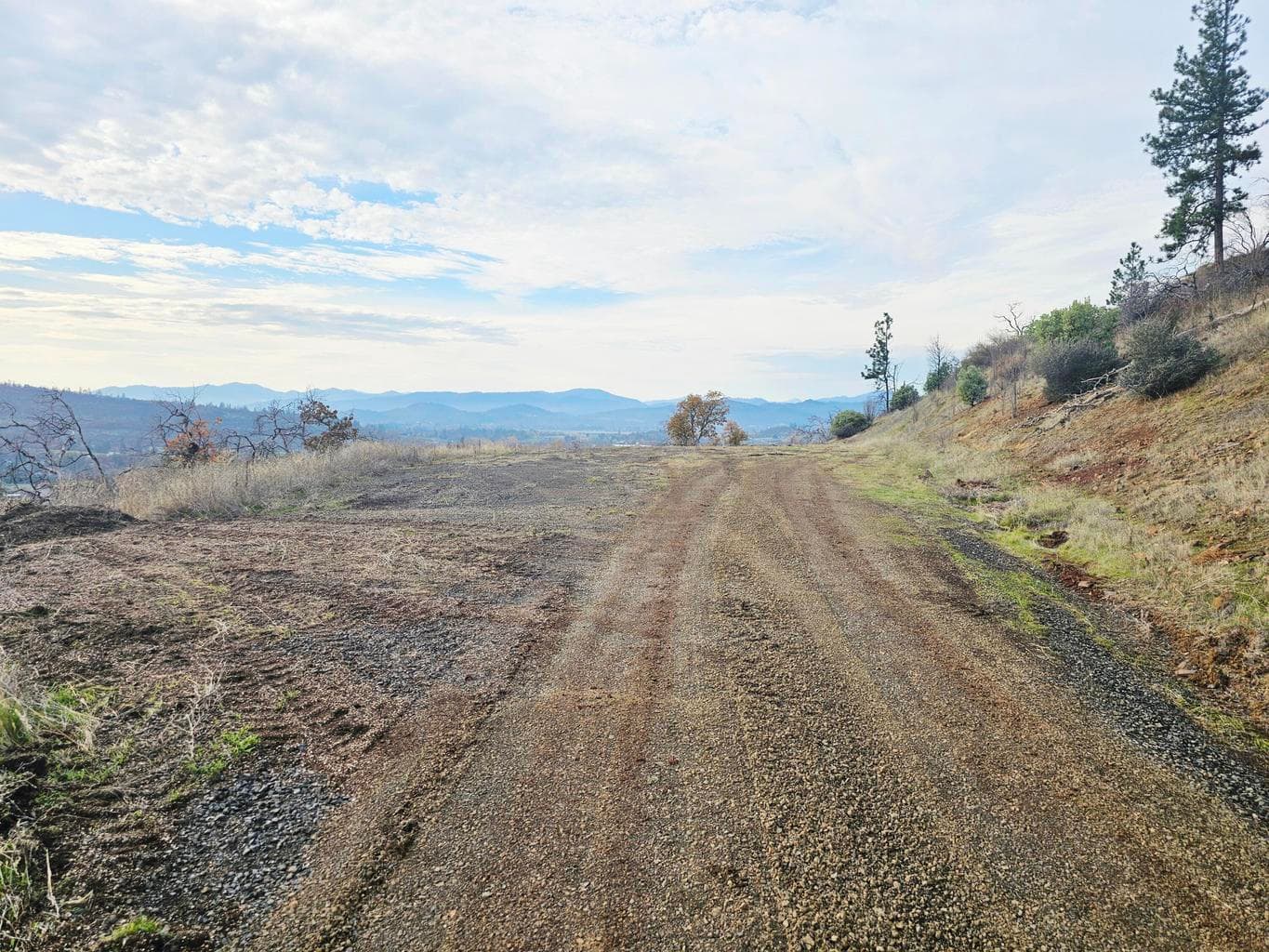 Photo of 2162 Butte Falls 4 of 63