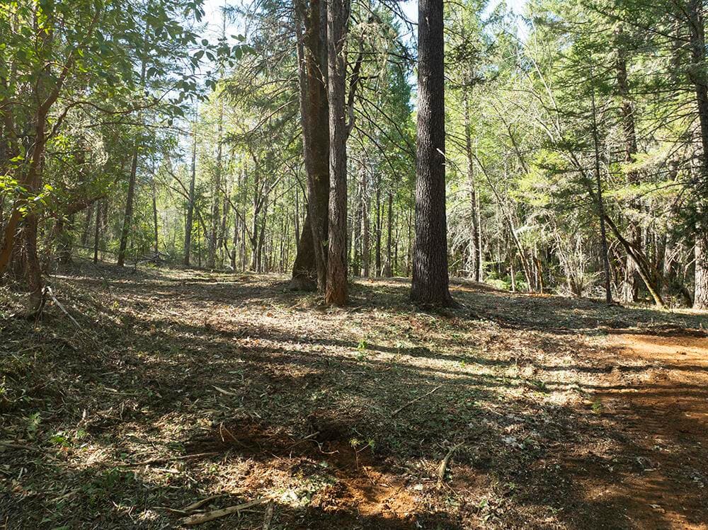 Photo of 12060 Redwood 2 of 26