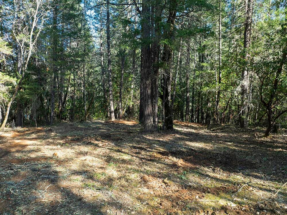 Photo of 12060 Redwood 4 of 26