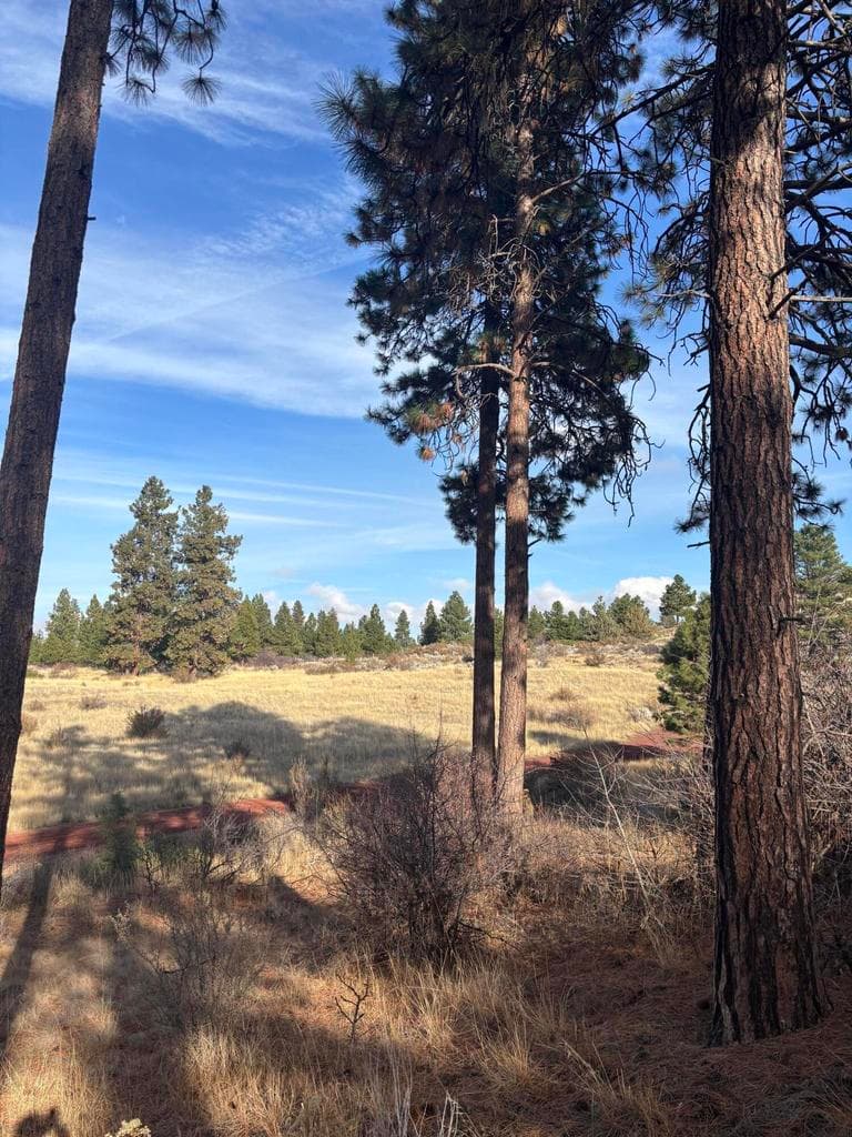 Photo of Maidu 5 of 13