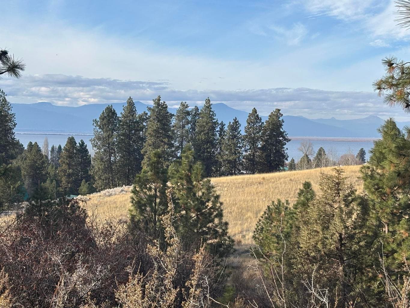 Photo of Maidu 2 of 13