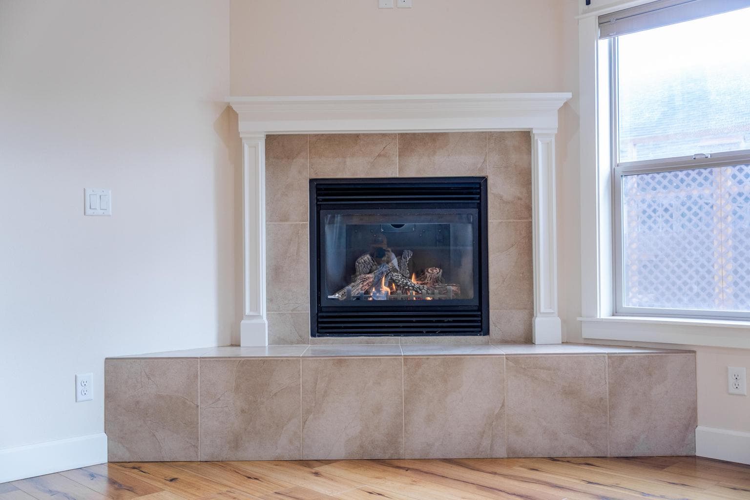Gas fireplace