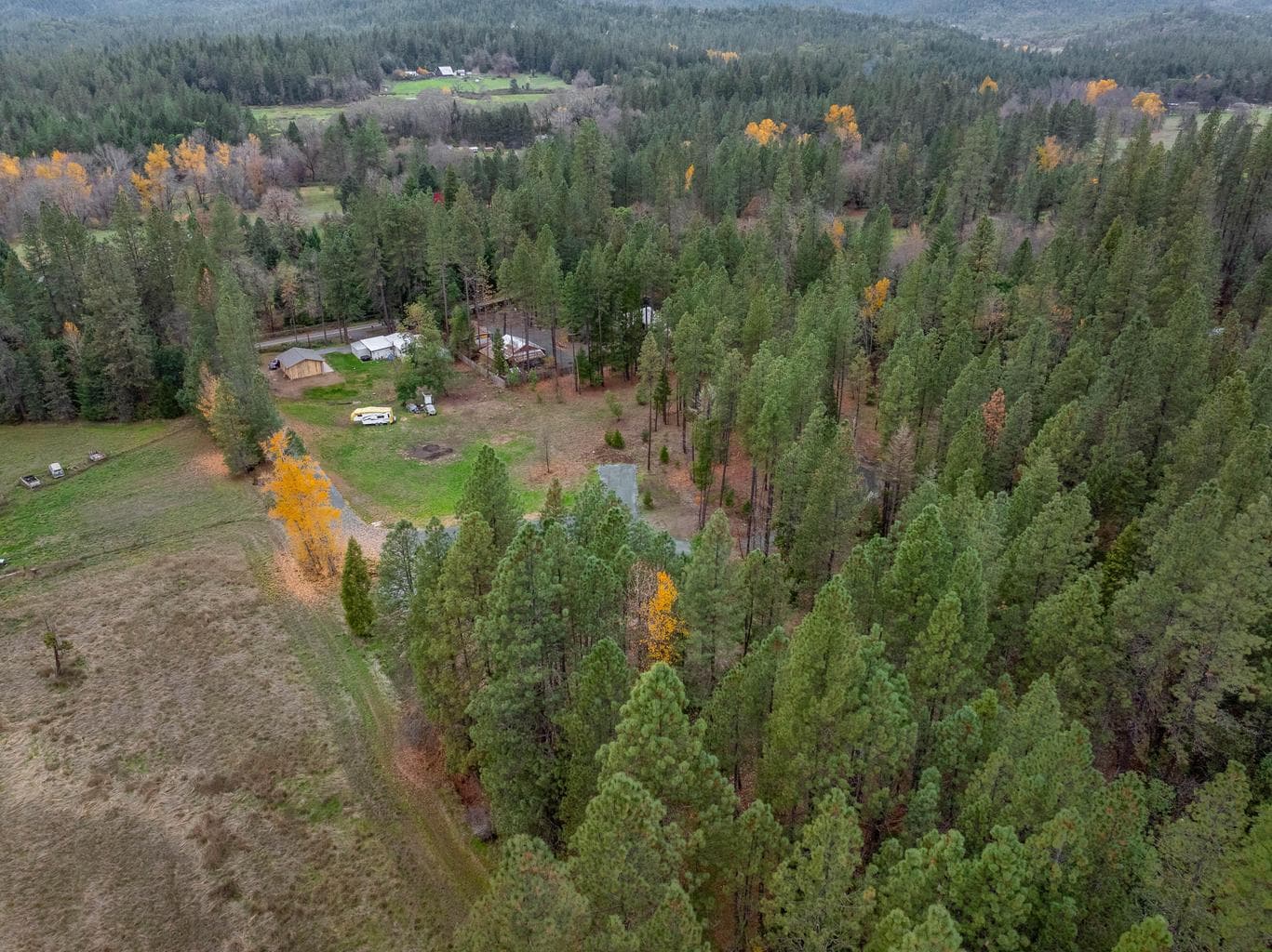 Photo of 1740 Pleasant Creek 5 of 20