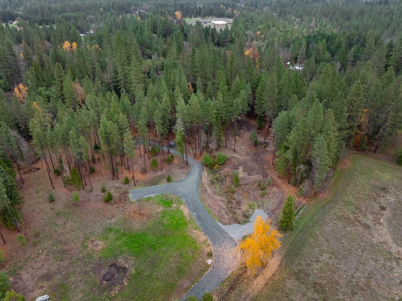 Photo of 1740 Pleasant Creek 3 of 20