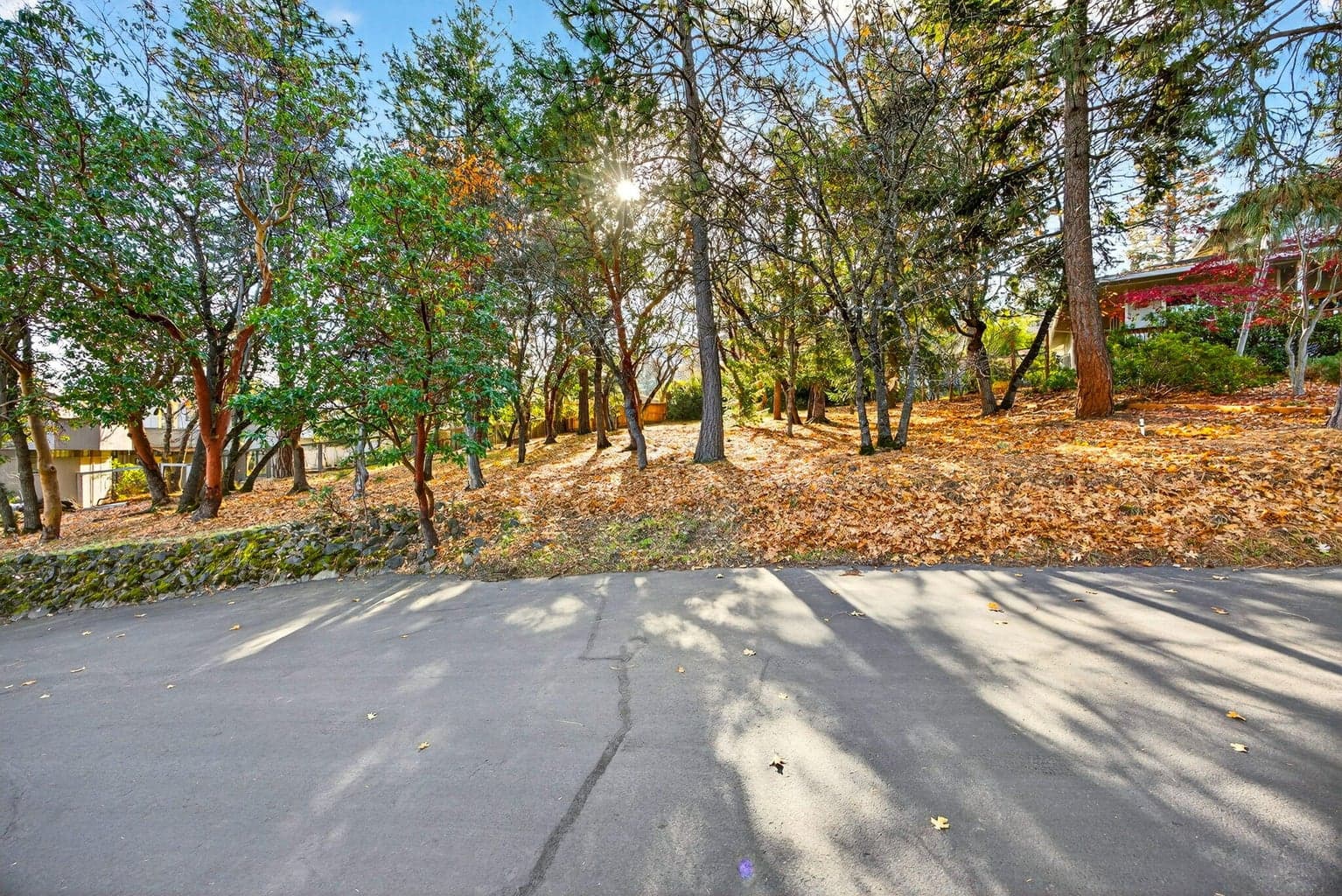 Photo of 961 Pinecrest 4 of 17