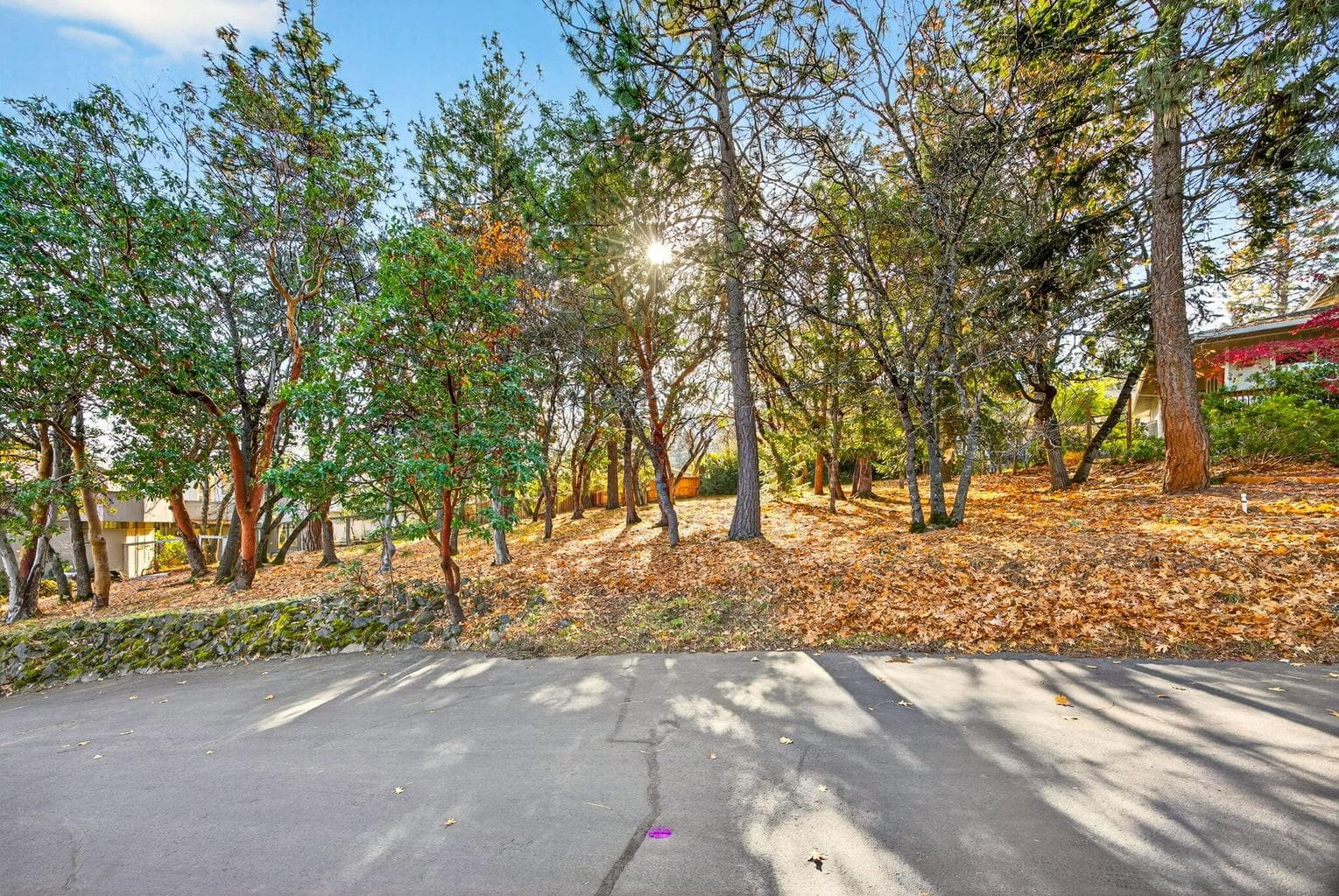 Photo of 961 Pinecrest 5 of 17