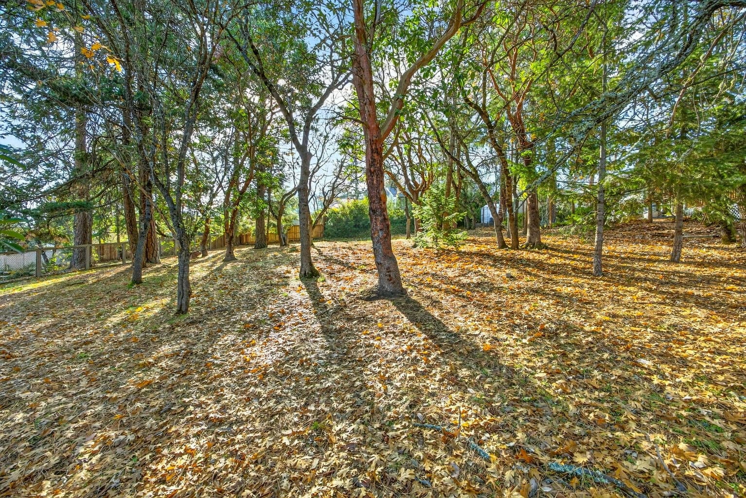 Photo of 961 Pinecrest 1 of 17
