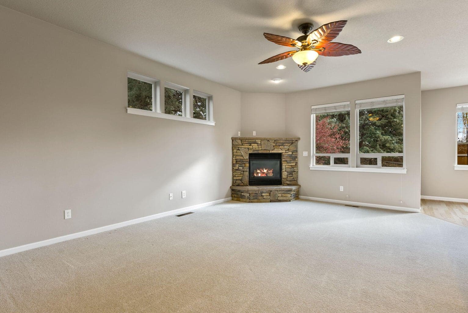 Photo of 20939 Blue Bush 4 of 29