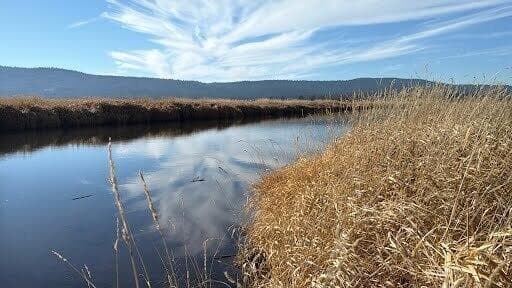River from property