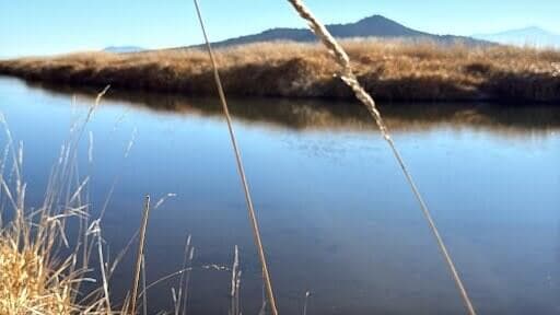 River from property
