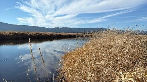 River from property