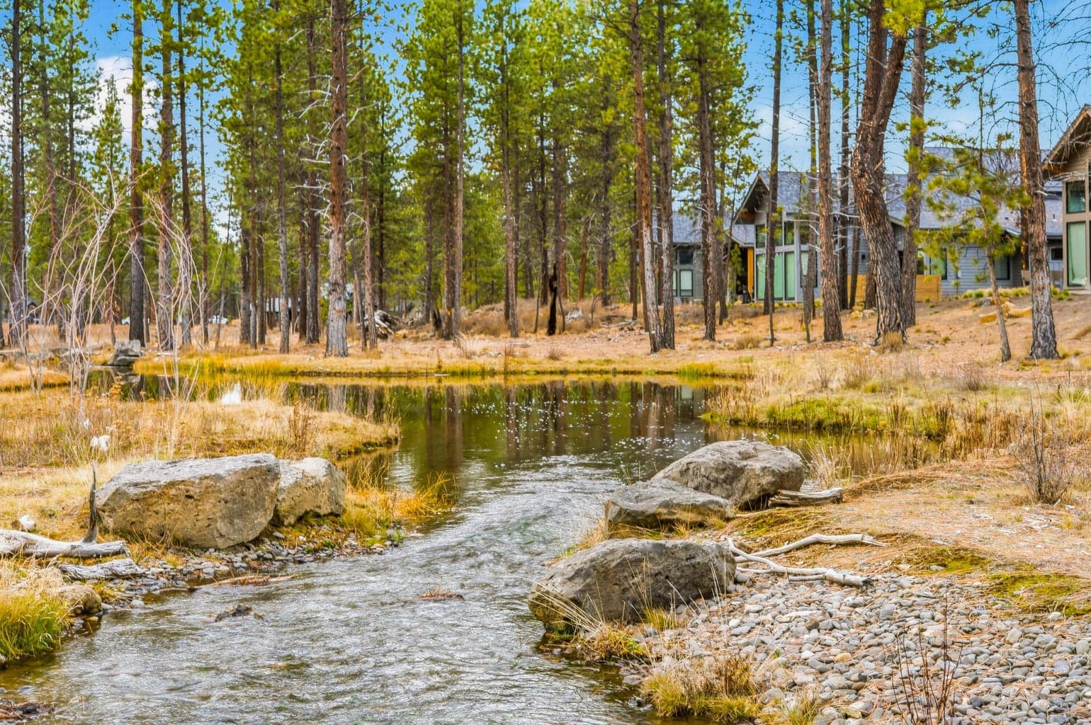 Stream in back of home