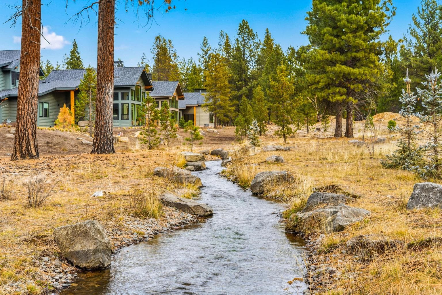 Stream in back of home