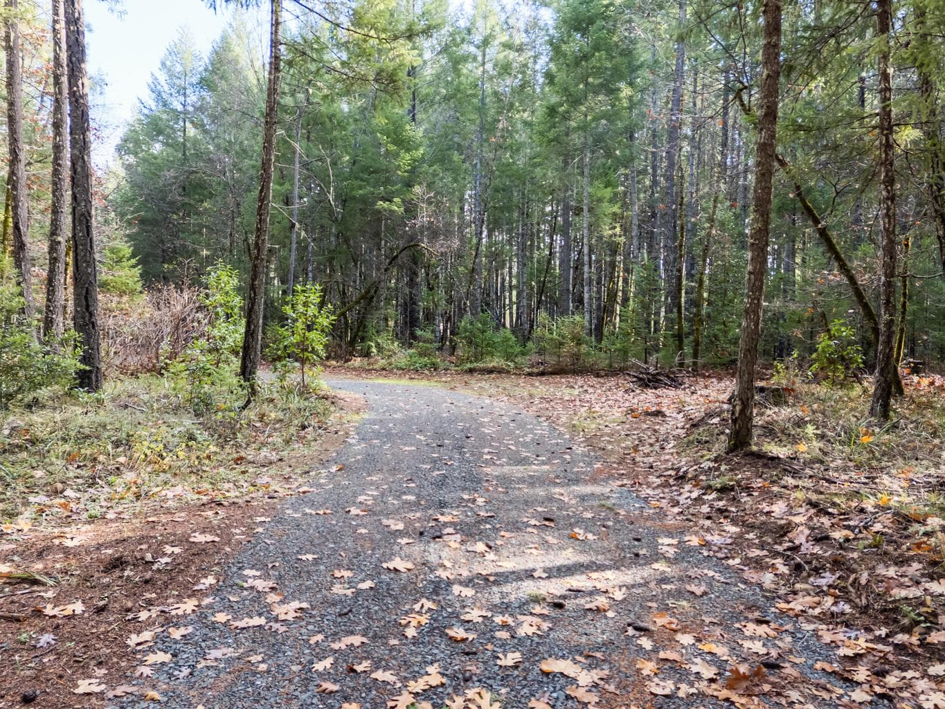 permitted gravel driveway