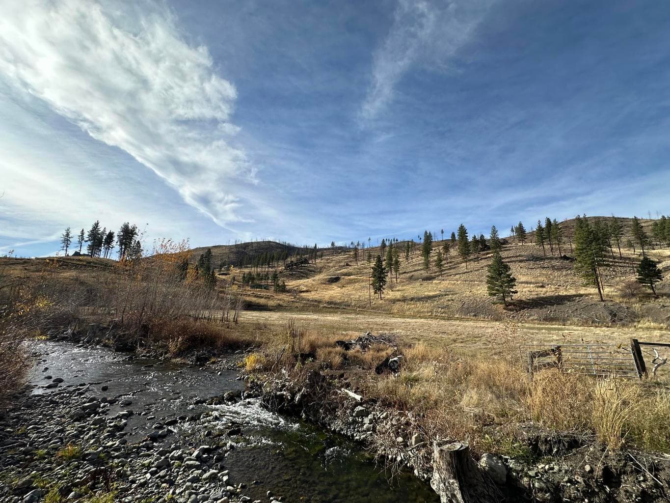 Photo of 24826 Hwy 395 3 of 58