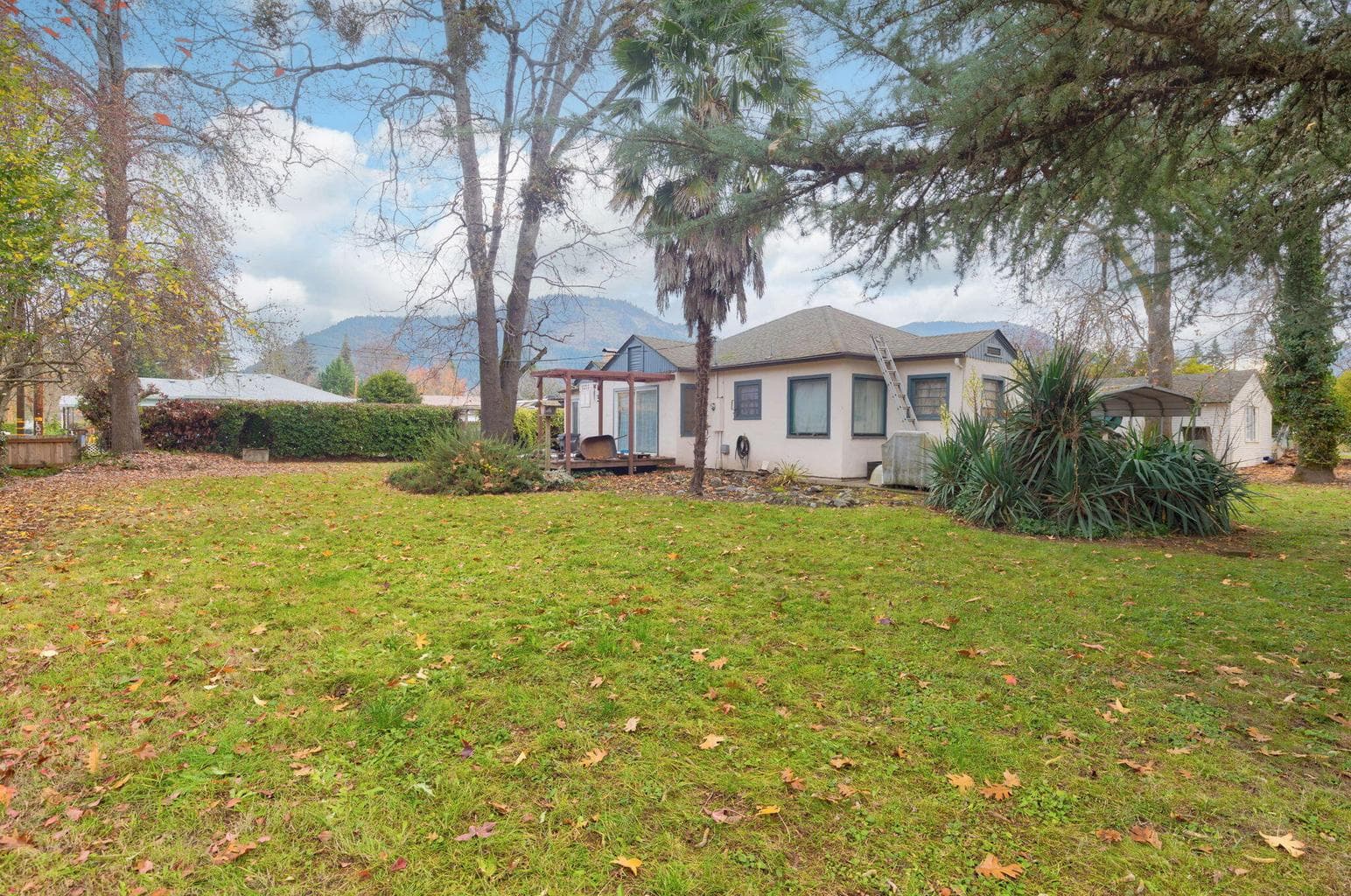 Photo of 1213 Park 3 of 17