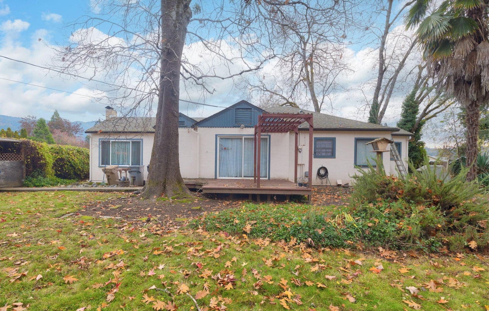 Photo of 1213 Park 4 of 17