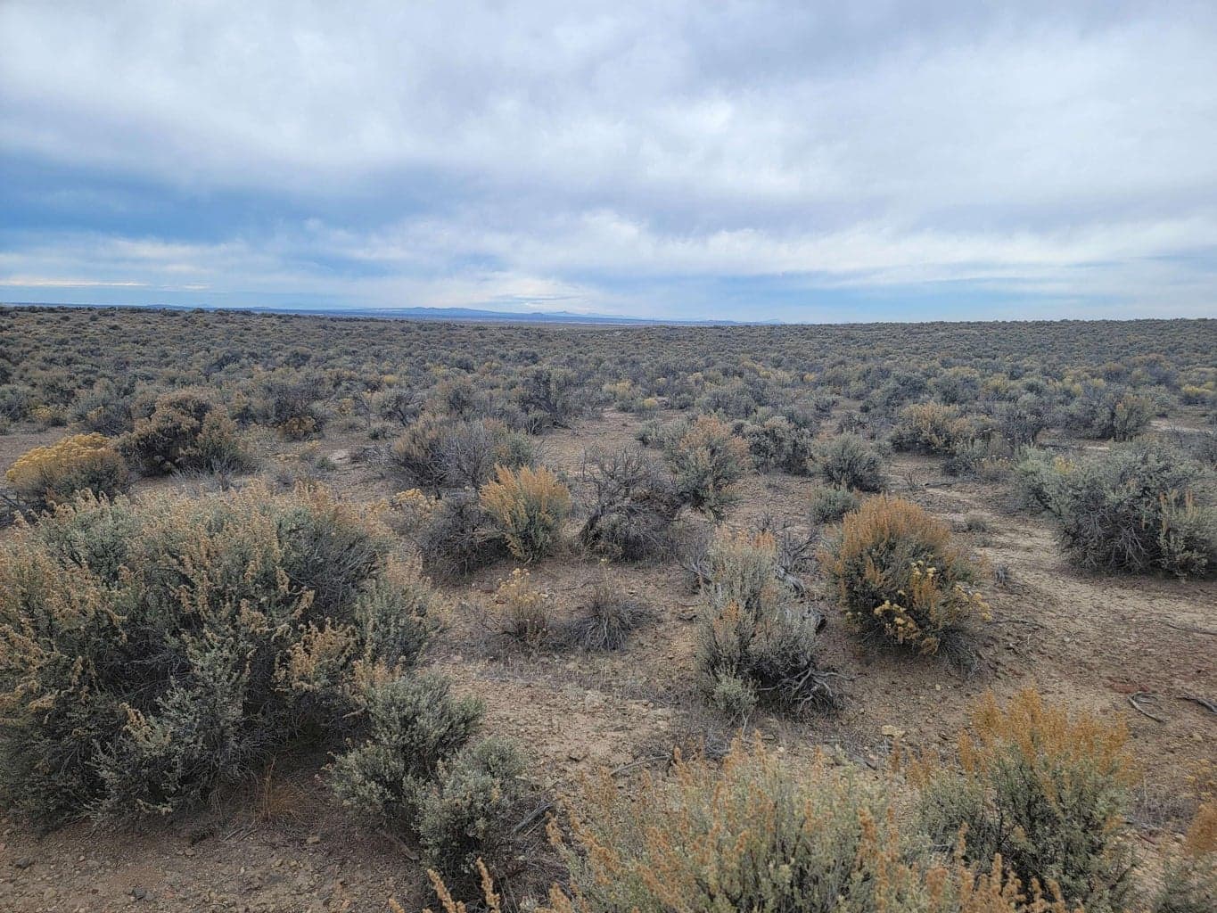 Photo of Christmas Valley Highway 2 of 16