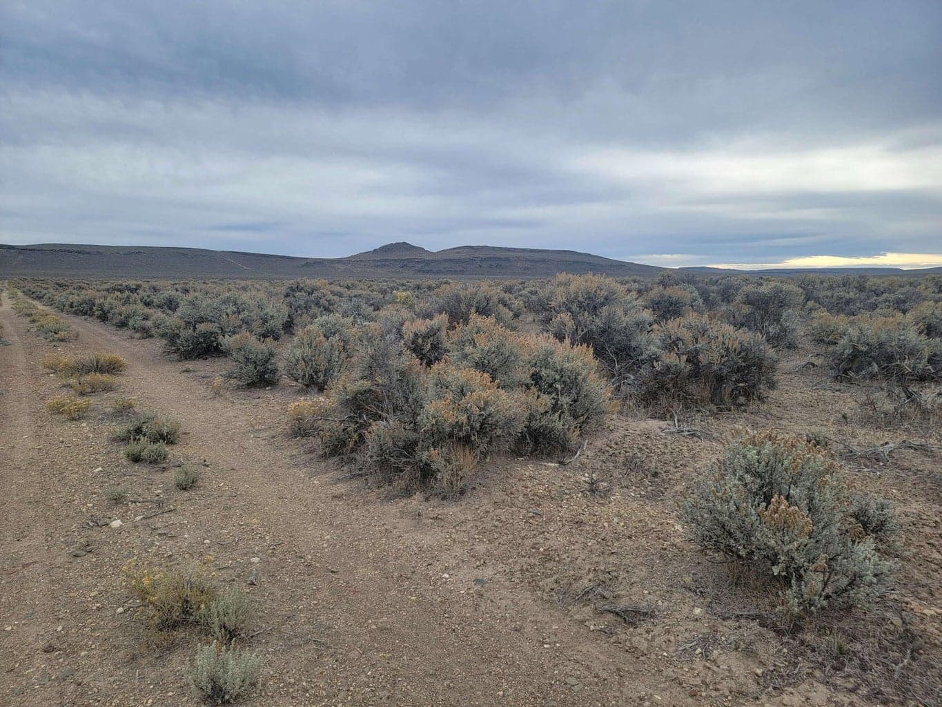 Christmas Valley Highway