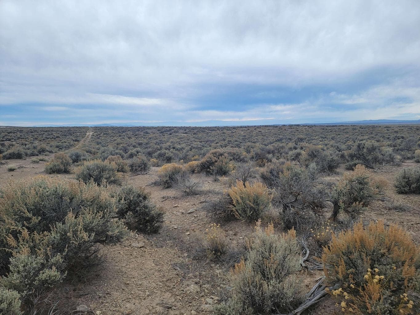 Photo of Christmas Valley Highway 5 of 16