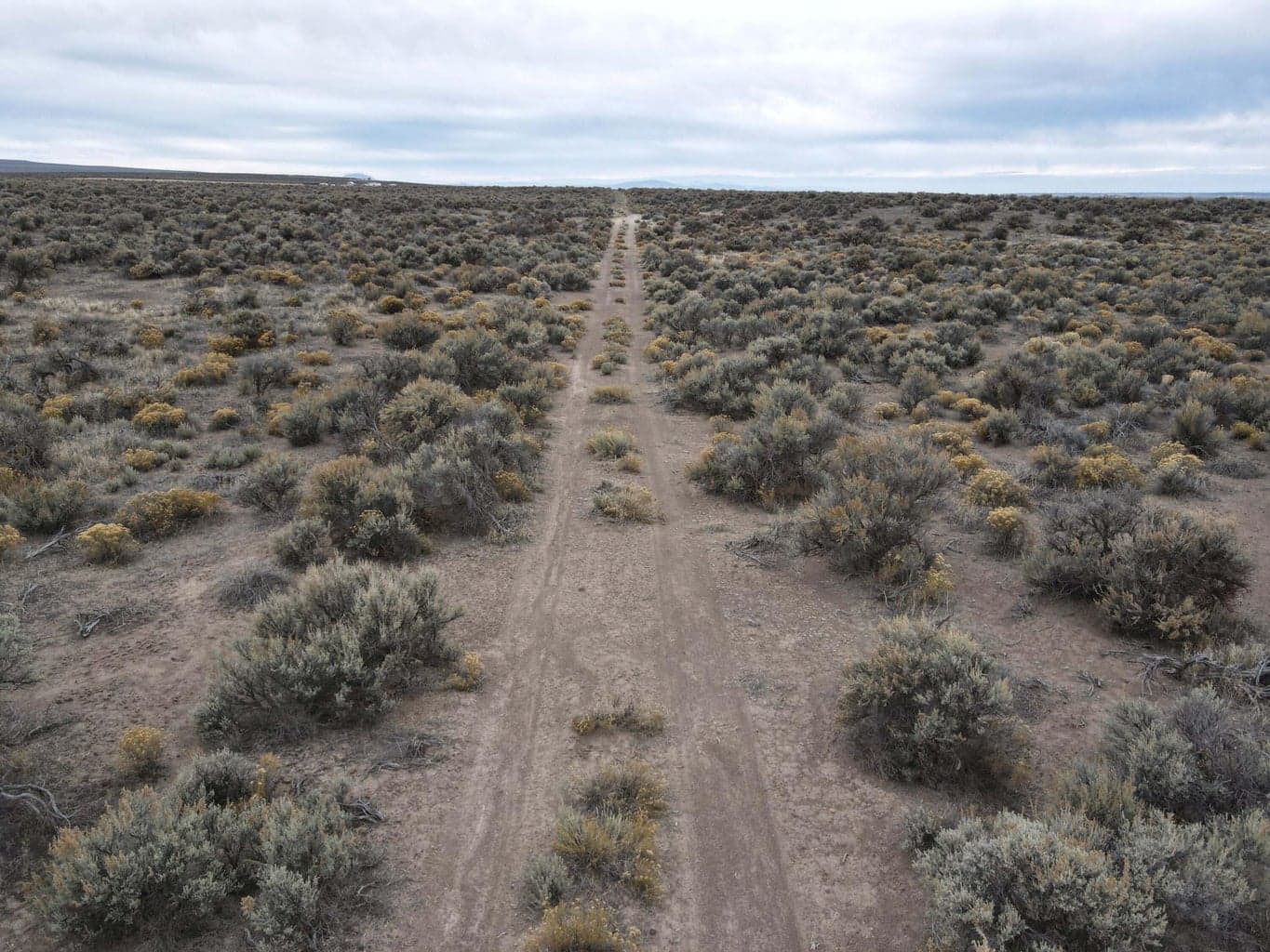 Photo of Christmas Valley Highway 3 of 16