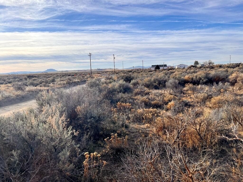 Photo of Thorn 5 of 16
