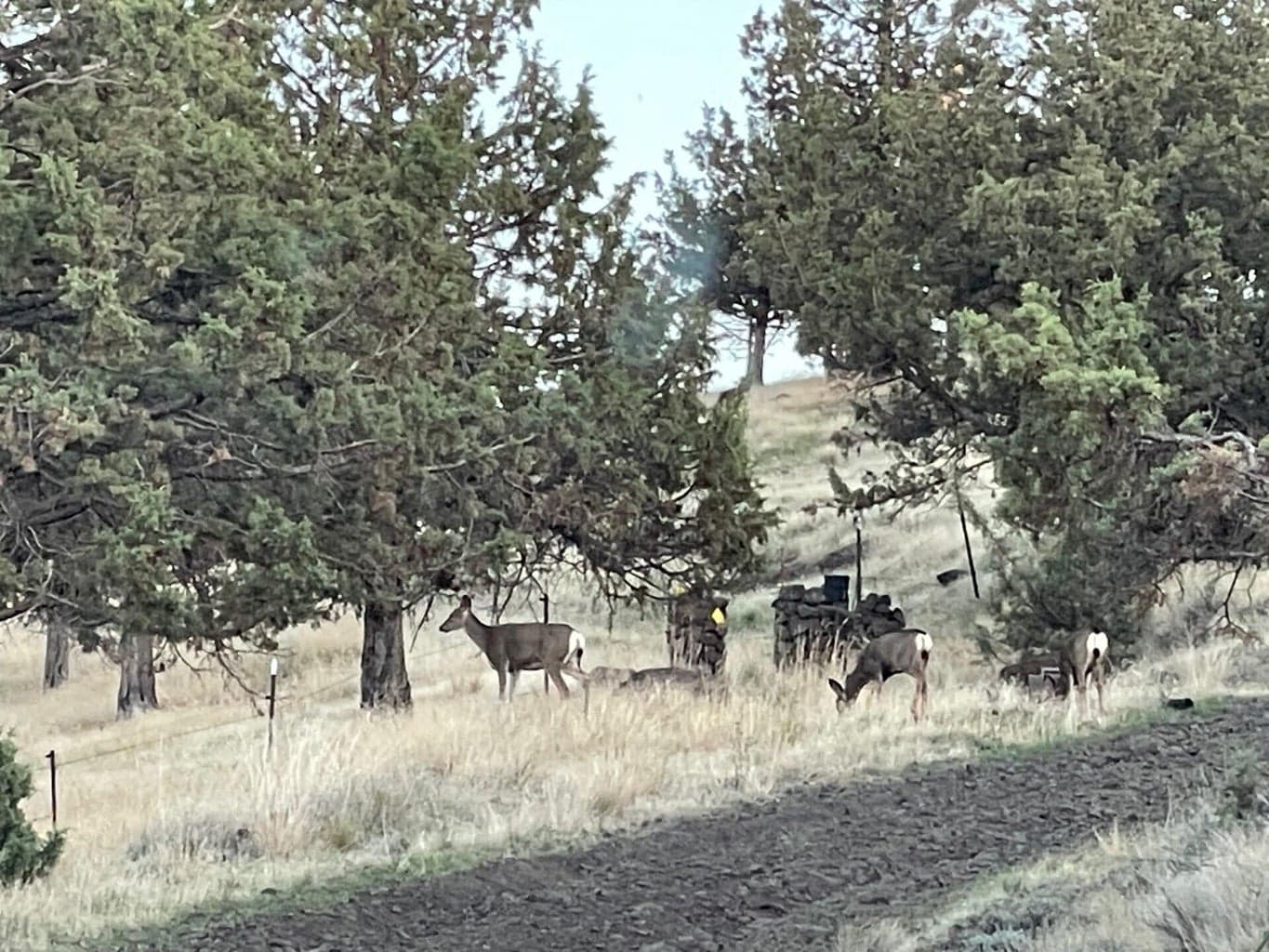 Photo of 14751 Browning 5 of 9