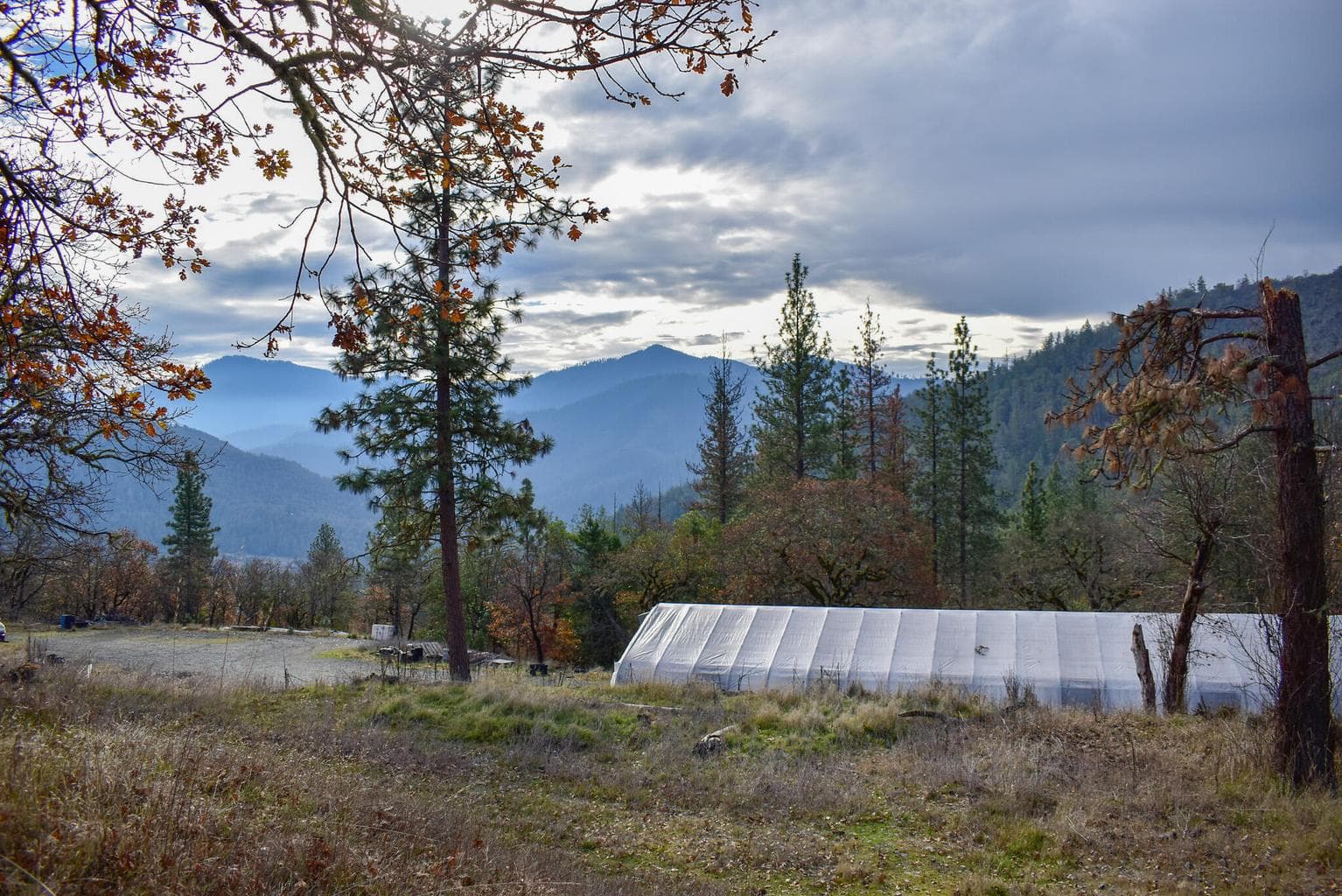 Photo of 1379 Humbug Creek 1 of 26