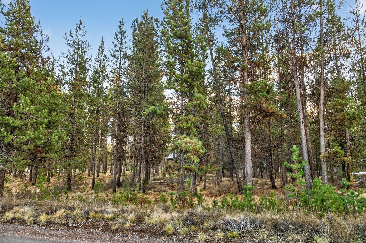 Photo of 17177 Glendale Road 7 of 11