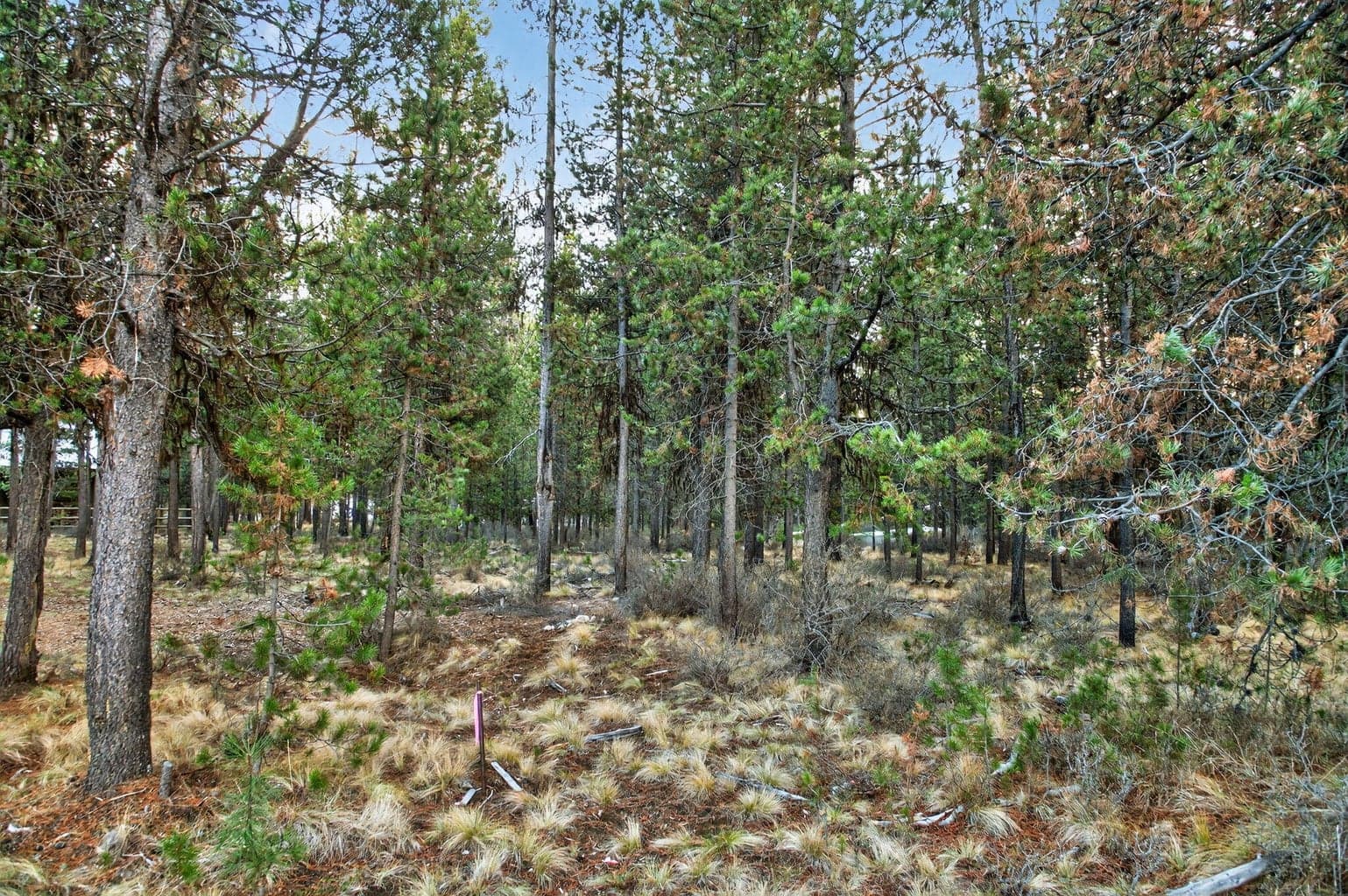 Photo of 17177 Glendale Road 8 of 11
