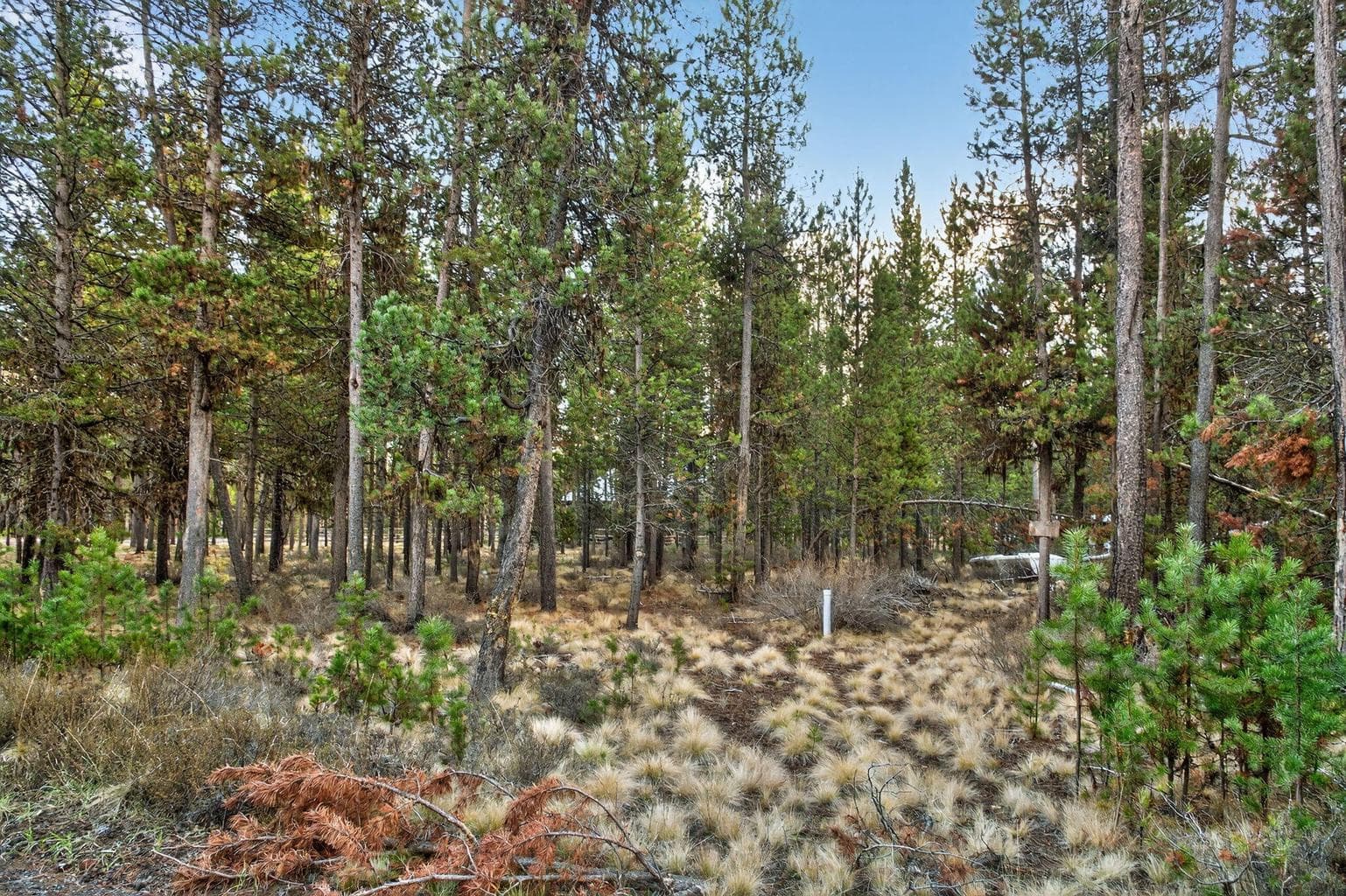 Photo of 17177 Glendale Road 10 of 11
