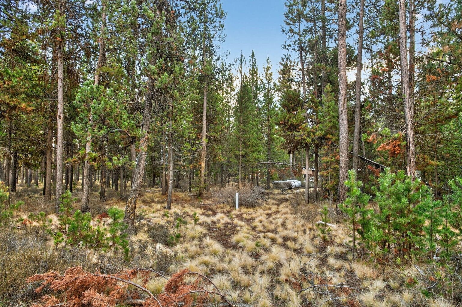 Photo of 17177 Glendale Road 11 of 11