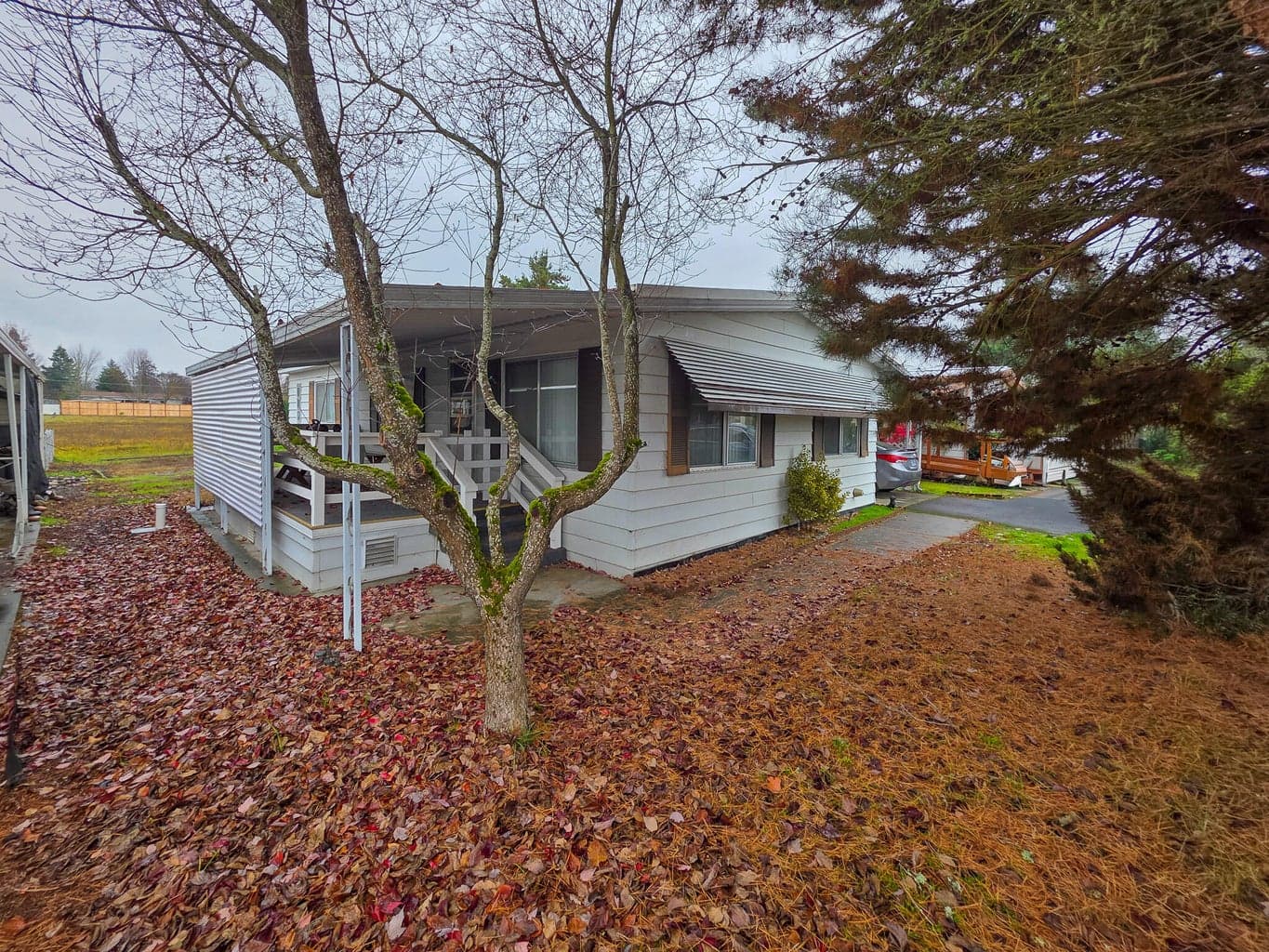 Photo of 989 Roguelea 2 of 17