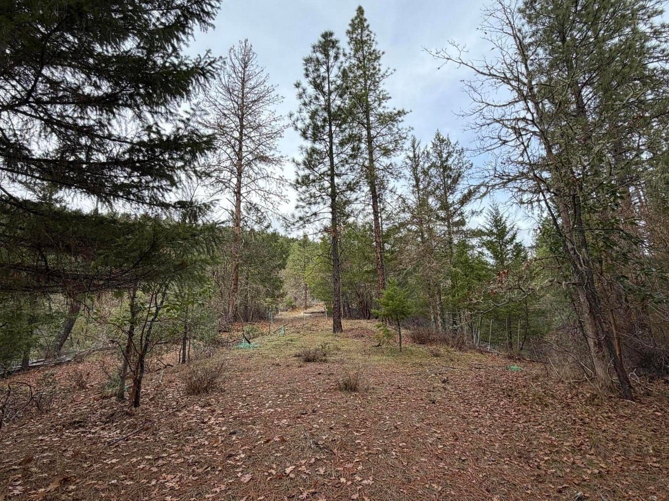 Photo of 0 E Evans Creek 3 of 11