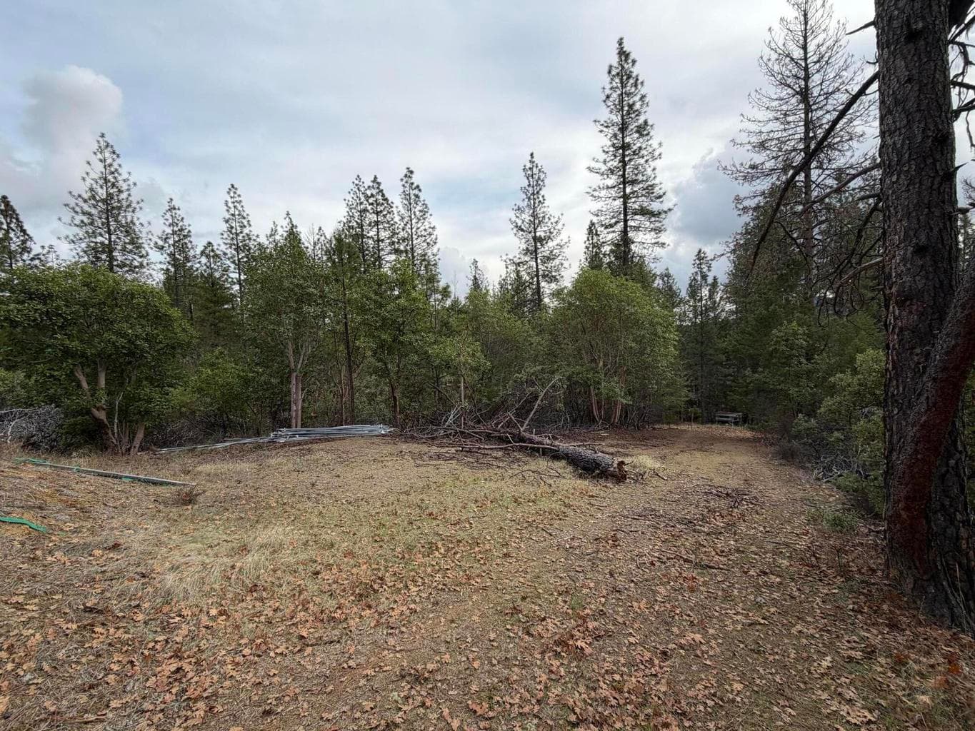 Photo of 0 E Evans Creek 4 of 11