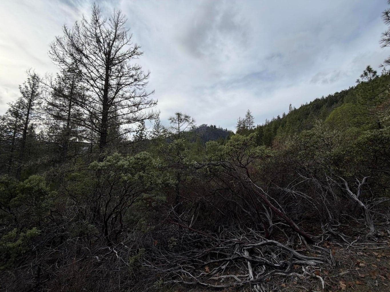 Photo of 0 E Evans Creek 5 of 11