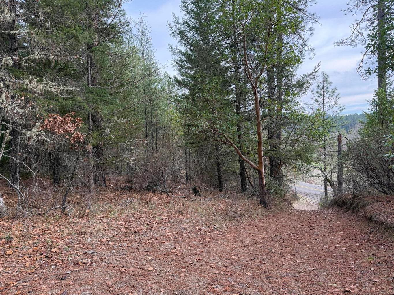 Photo of 0 E Evans Creek Road 3 of 11