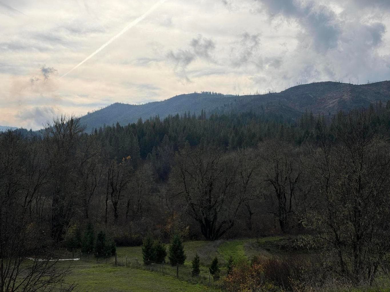 Photo of 0 E Evans Creek 2 of 11