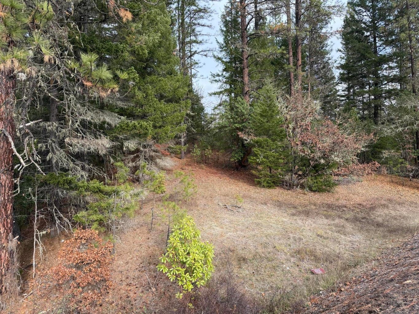 Photo of 0 E Evans Creek 2 of 12