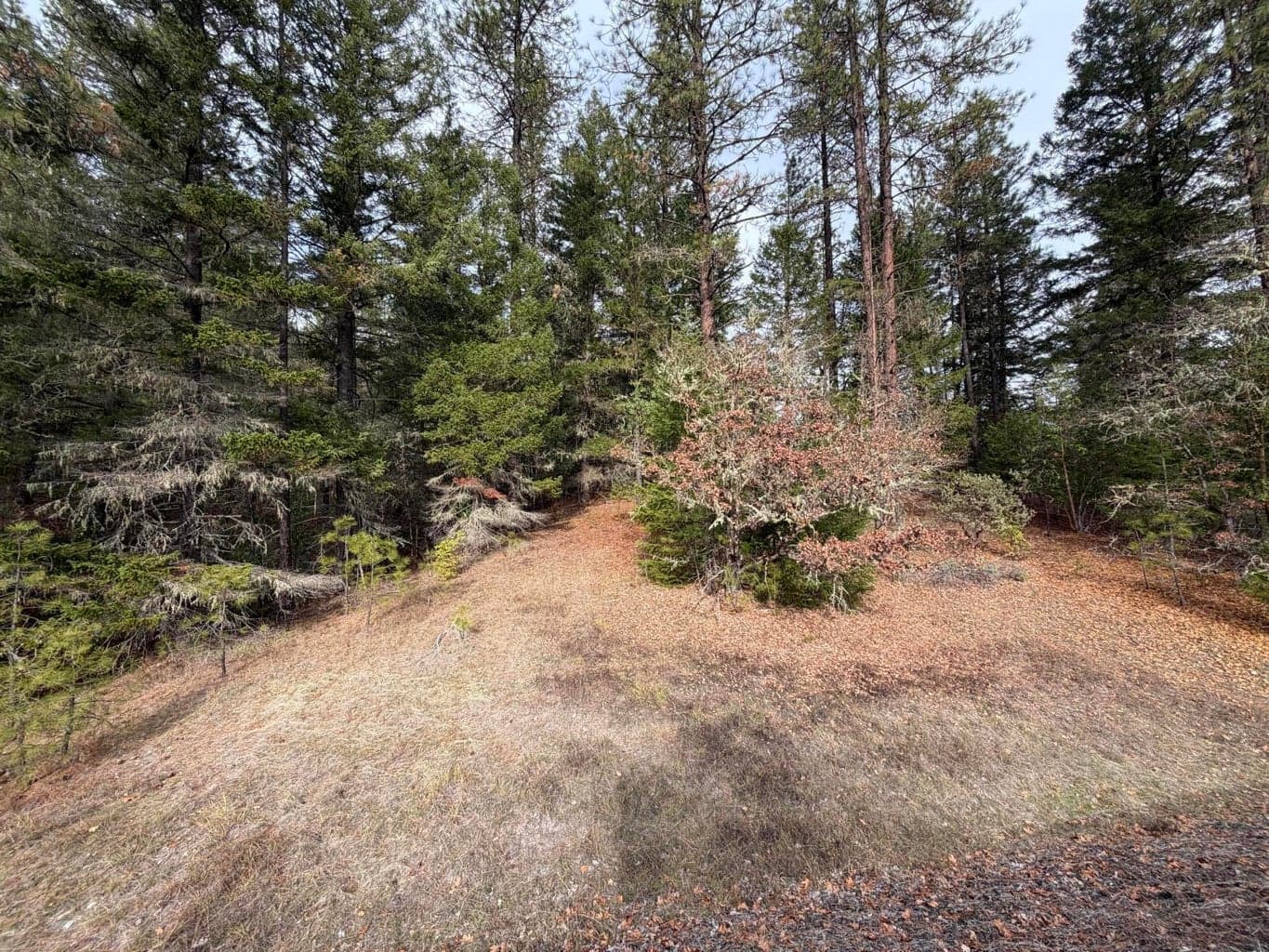 Photo of 0 E Evans Creek 3 of 12