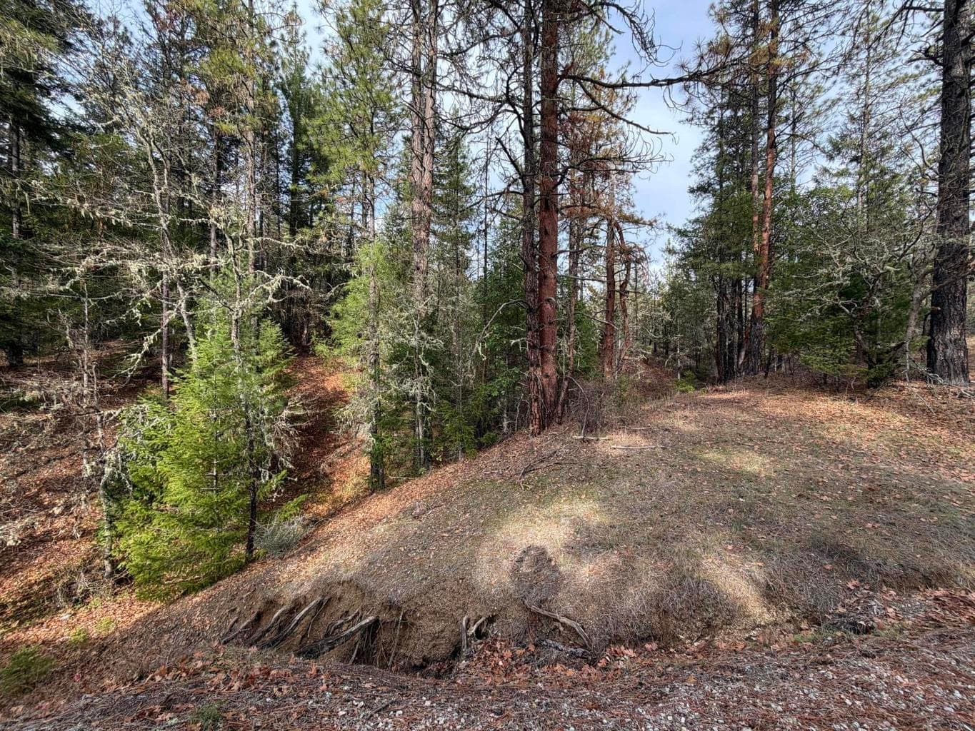 Photo of 0 E Evans Creek 4 of 12