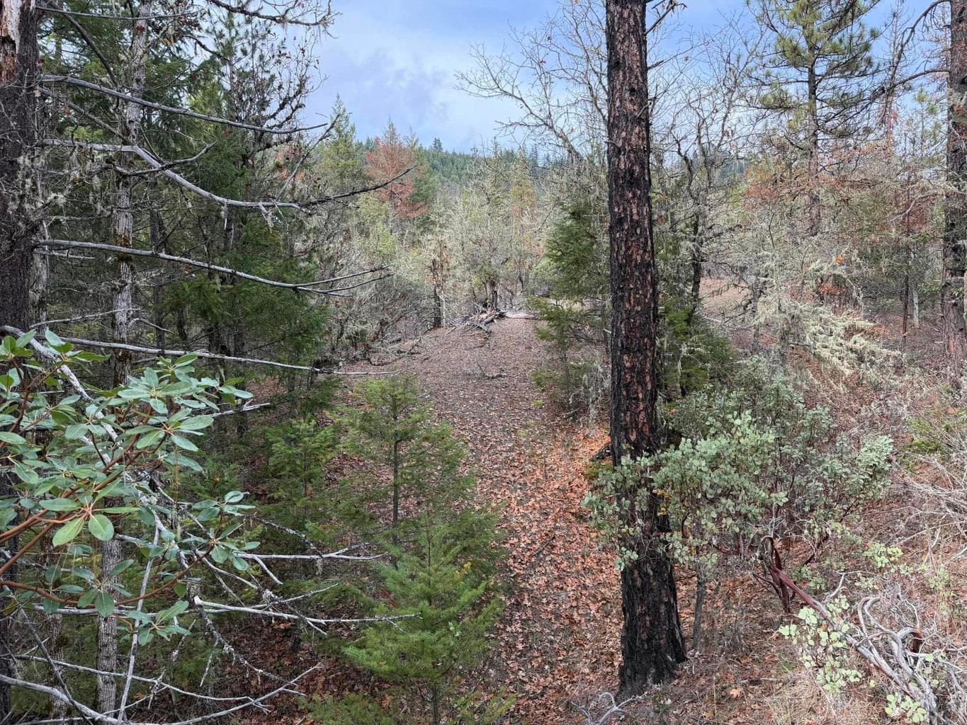 Photo of 0 E Evans Creek 5 of 12