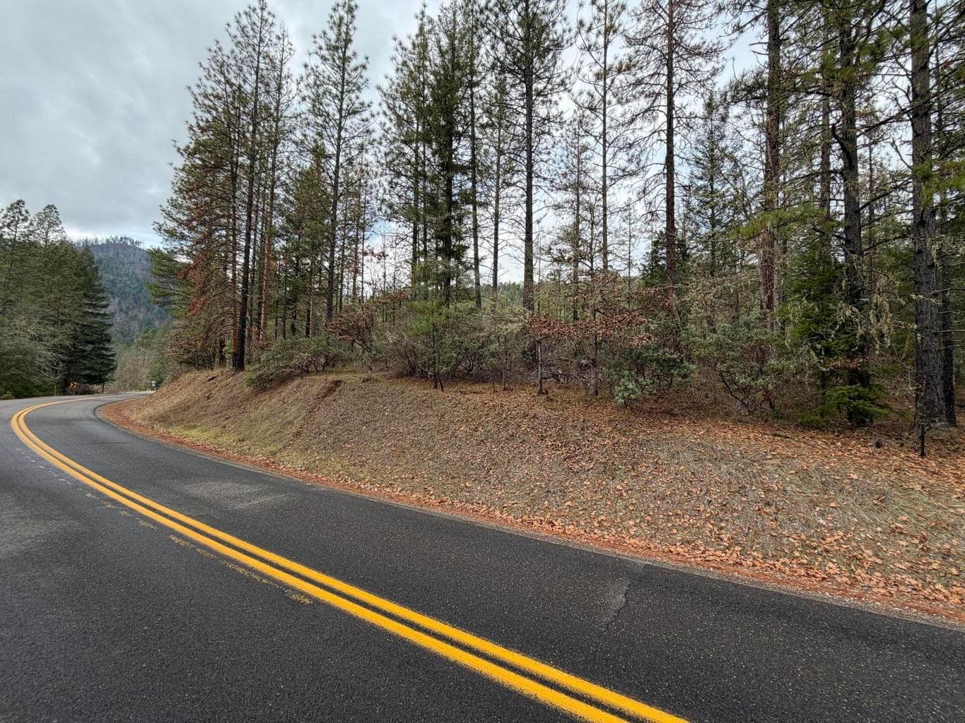 Photo of 0 E Evans Creek 1 of 12