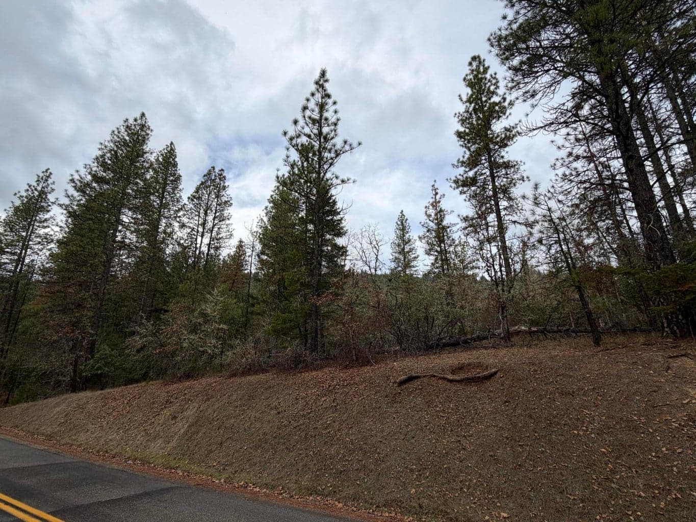 Photo of 0 E Evans Creek Road 2 of 12