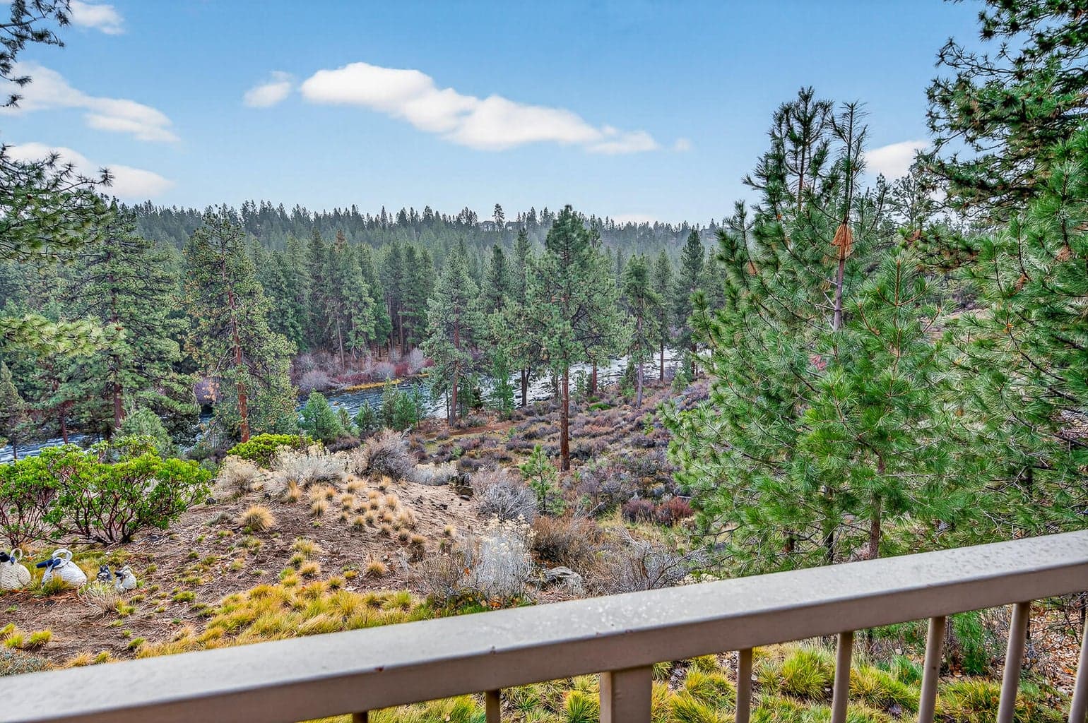 Views abound and river trail is easy to access.