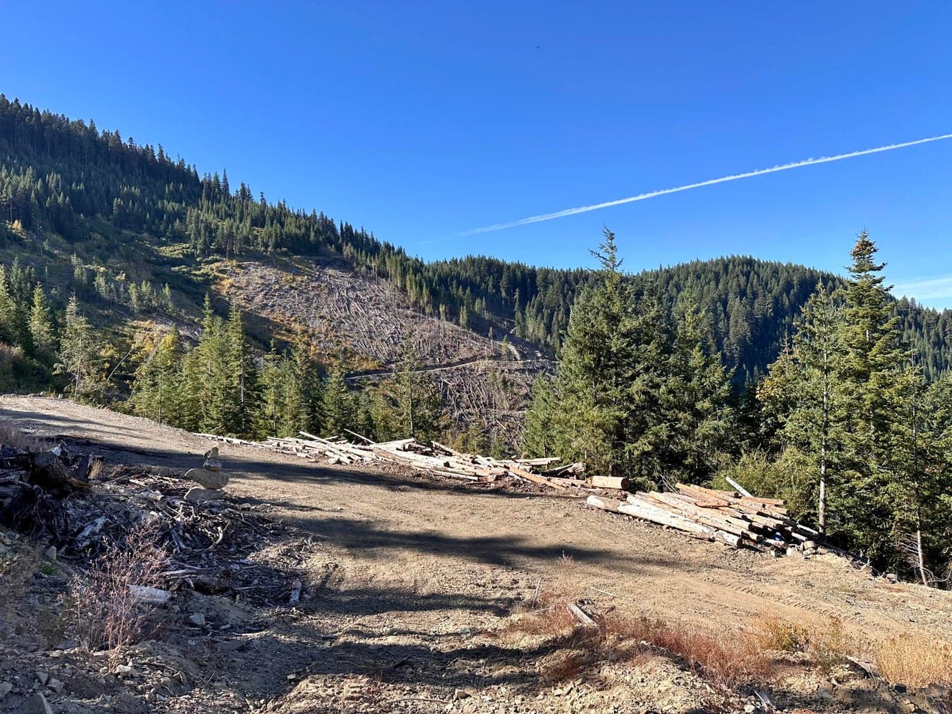 Williams Creek