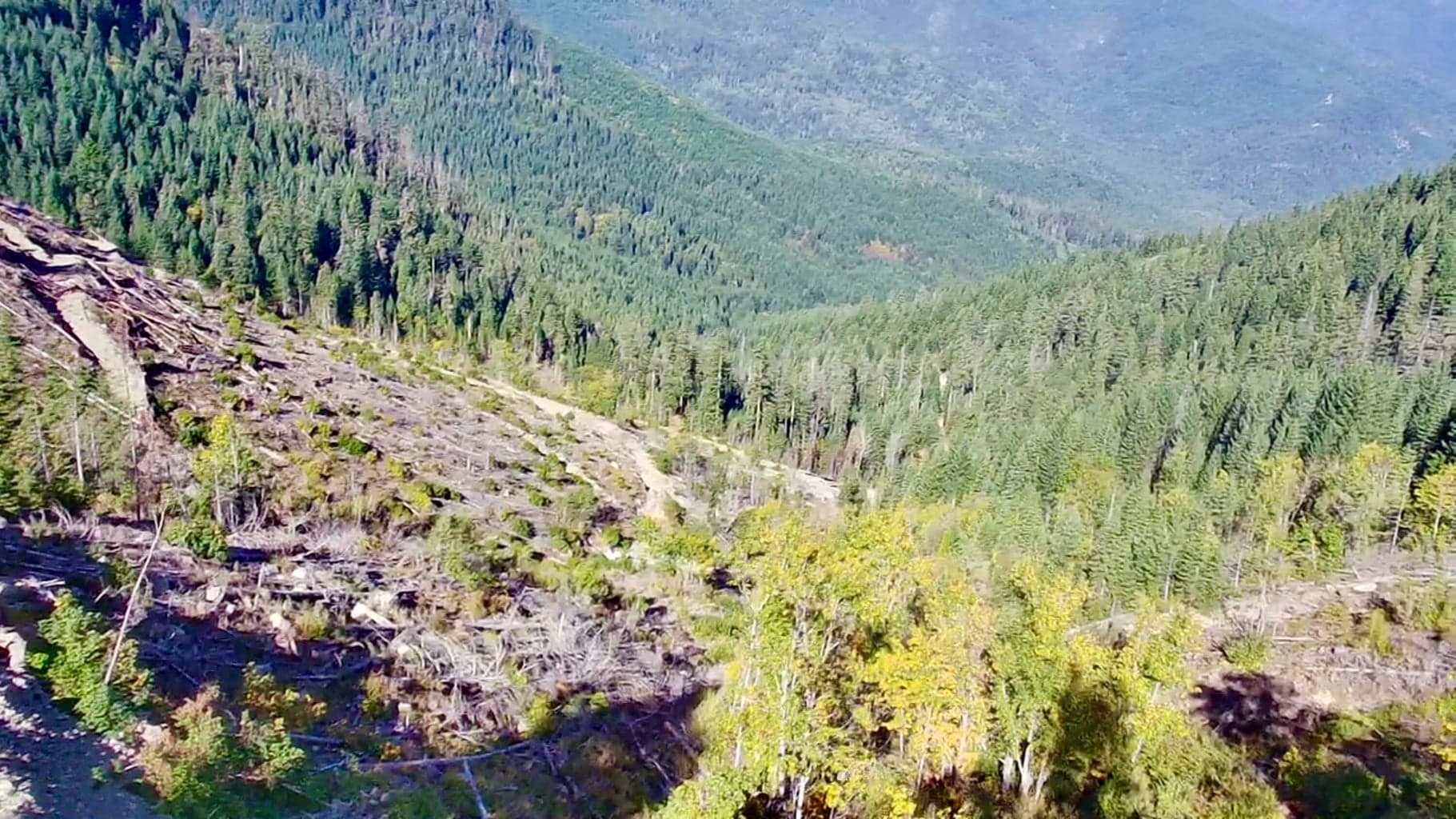 Photo of Williams Creek 2 of 20