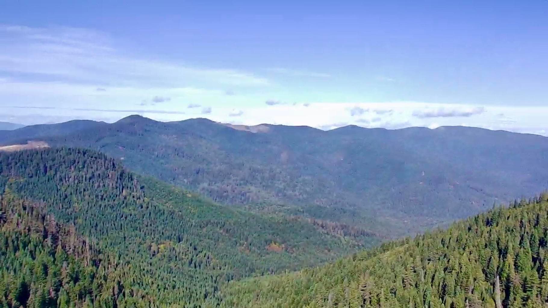 Photo of Williams Creek 3 of 20